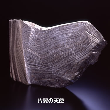 林